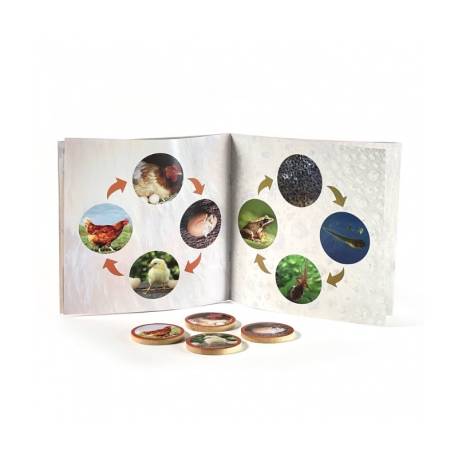 Juego de Los ciclos de la vida Nowordbooks Animales y Naturaleza 2
