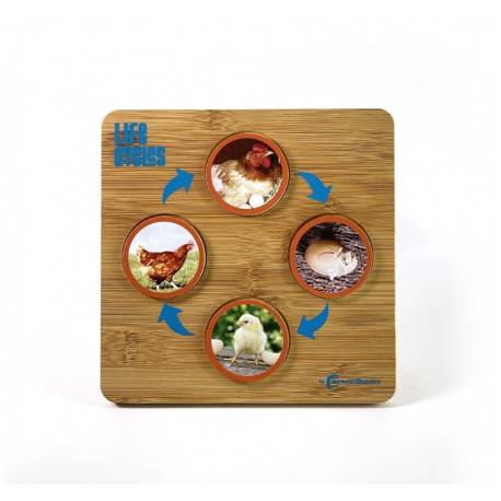 Juego de Los ciclos de la vida Nowordbooks Animales y Naturaleza