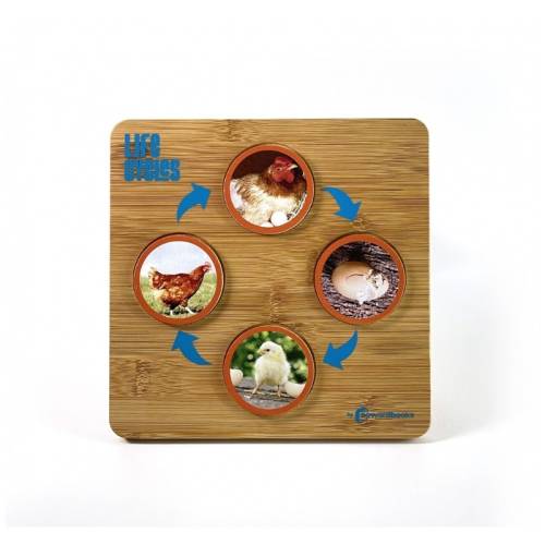 Juego de Los ciclos de la vida Nowordbooks Animales y Naturaleza