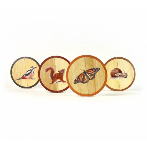 Cerchi - Animali della foresta