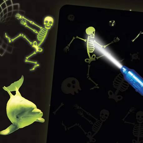 Pizarra Fluorescente - Pintafluo  Manualidades