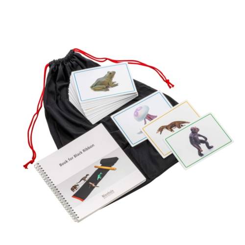 Tarjetas y libro para Línea Negra Nienhuis Ciencia y medio ambiente