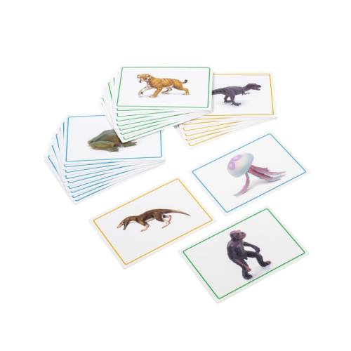 Carte e Prenota per Linea Nera