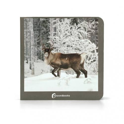 Cuento imágenes reales - Animales polares Nowordbooks Nowordbooks