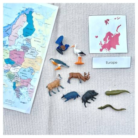 Animales de Europa Safari LTD Toobs Animales