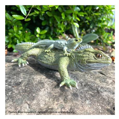 Animales Continente Australiano Safari LTD Toobs Animales