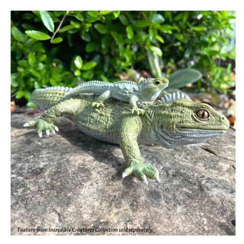 Animales Continente Australiano Safari LTD Toobs Animales