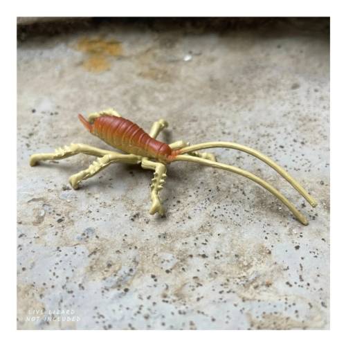 Animales Continente Australiano Safari LTD Toobs Animales