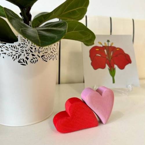 Cuori Montessori per la pace