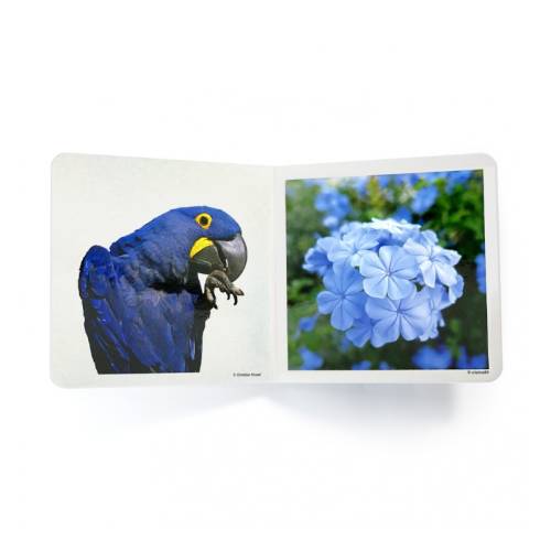 Immagini reali - Colore blu