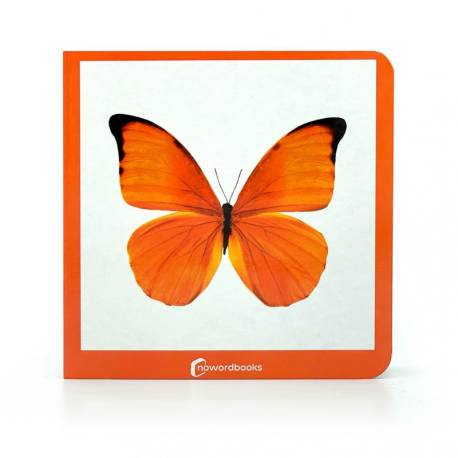 Cuento imágenes reales - Color naranja Nowordbooks Nowordbooks