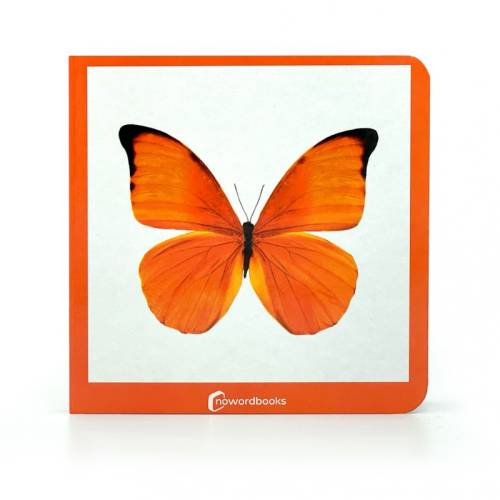 Cuento imágenes reales - Color naranja Nowordbooks Nowordbooks Cuento imágenes reales - Color naranja Nowordbooks Nowordbooks
