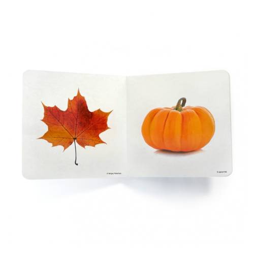 Conto immagine reale - Colore arancione