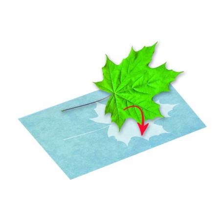 Papel de impresión solar  Manualidades