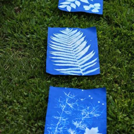 Papel de impresión solar  Manualidades