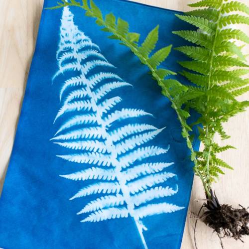 Papel de impresión solar  Manualidades