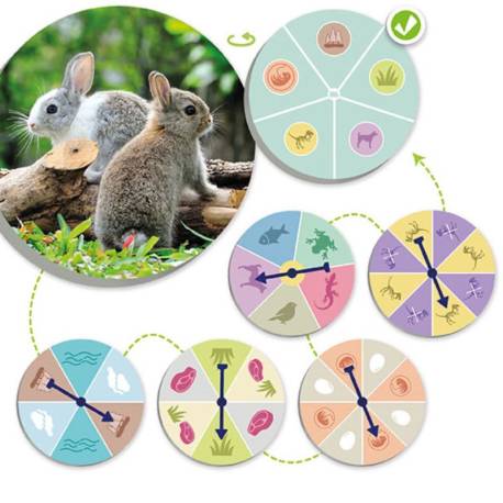 El mundo animal: Descubre y Clasifica Akros Animales y Naturaleza 2