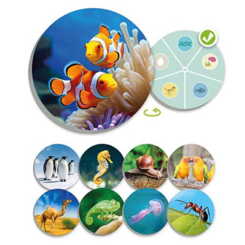 El mundo animal: Descubre y Clasifica Akros Animales y Naturaleza