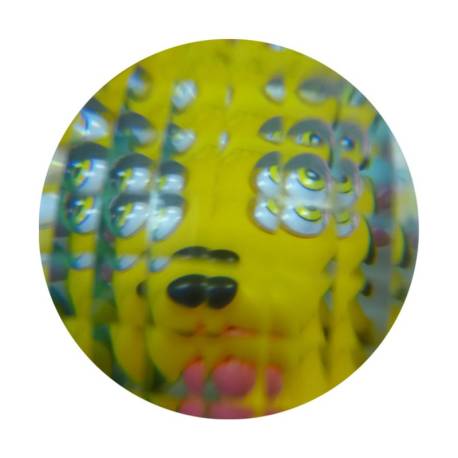 Ojo de mosca  Más de 3 años 2
