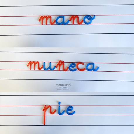 Articolo Montessori per la tavola della luce