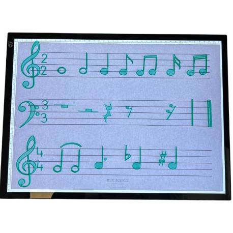 Notas musicales translúcidas Montessori para todos Música