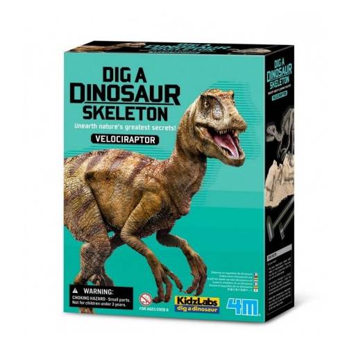 Excavación esqueleto de Tyrannosaurus Rex / Velociraptor 4M Ciencia y medio ambiente