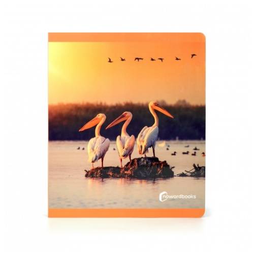 Libro Grande - Aves Nowordbooks Nowordbooks