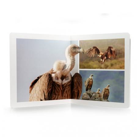 Libro Grande - Aves