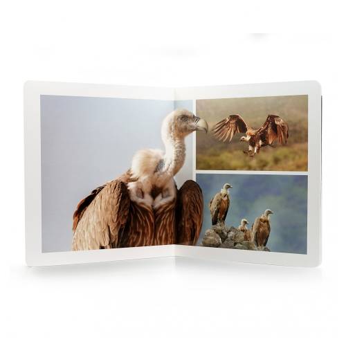 Libro Grande - Aves Nowordbooks Nowordbooks