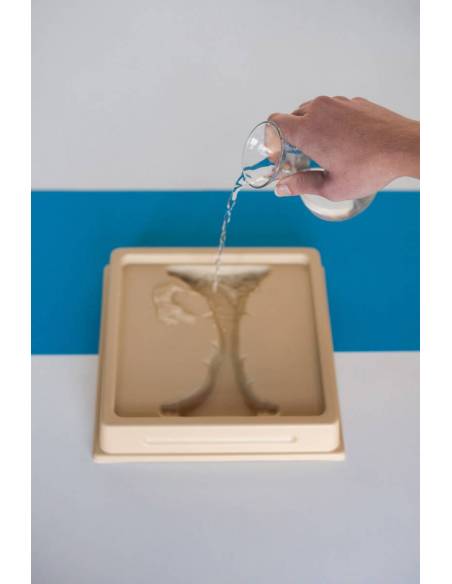 Bandejas de geogradía