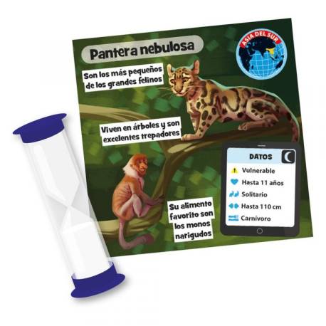 BrainBox animales  Juegos de mesa 2