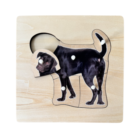 Puzzle Montessori Perro  Botánica y Zoología 2