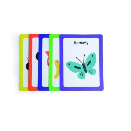 Adivina que tengo en el coco MiDeer Juegos de mesa