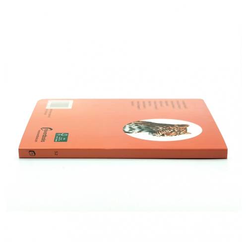 Cuento de imágenes reales - Animales salvajes 3