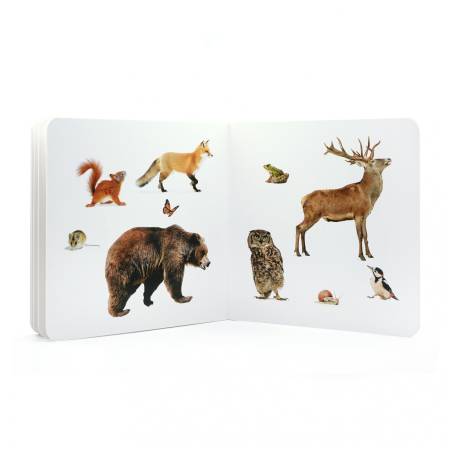 Cuento de imágenes reales - Animales salvajes 3 Nowordbooks Nowordbooks