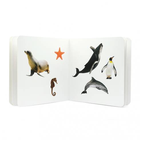 Cuento imágenes reales - Animales Marinos 2 Nowordbooks Nowordbooks