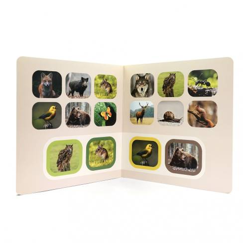 Libro imágenes reales - Busca y encuentra - Animales del Bosque