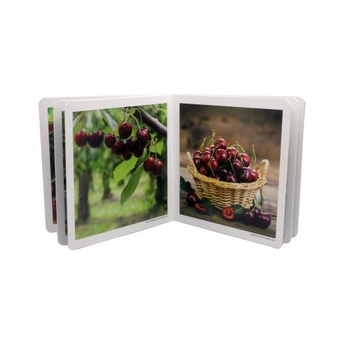 Talent Real Images - Frutti della foresta