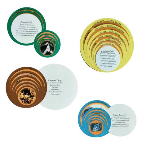 Cajas chinas Montessori | Clasificación de los 6 Reinos Nienhuis Botánica y Zoología 2