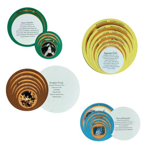 Cajas chinas Montessori | Clasificación de los 6 Reinos Nienhuis Botánica y Zoología