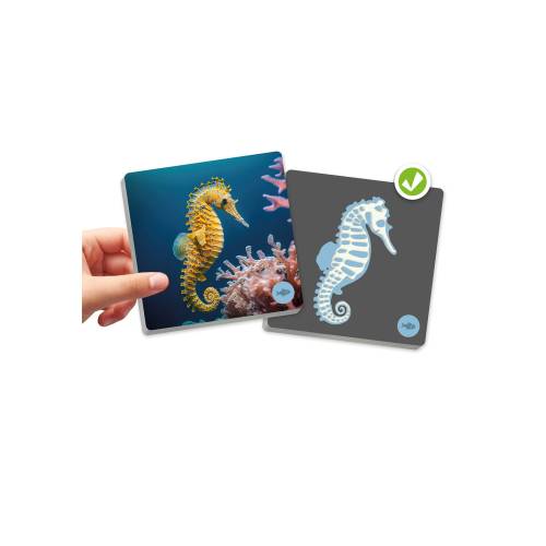 Maxi-memory Animales vertebrados y sus esqueletos Akros Animales y Naturaleza