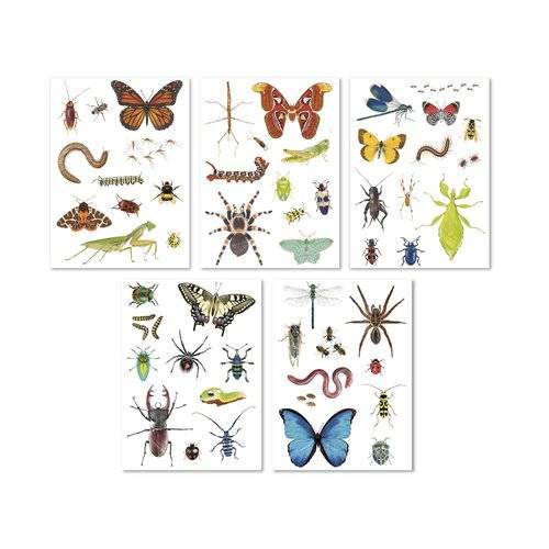 Stickers de los insectos