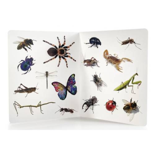 Libro Grande de animales Nowordbooks Nowordbooks