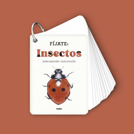 Fíjate: Insectos | Libro de observación y naturaleza para niños  Animales y Naturaleza