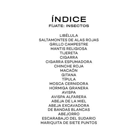 Llavero de tarjetas - Insectos