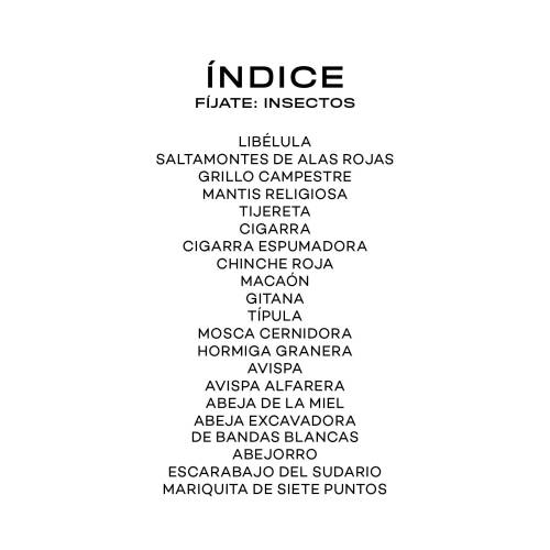 Llavero de tarjetas - Insectos
