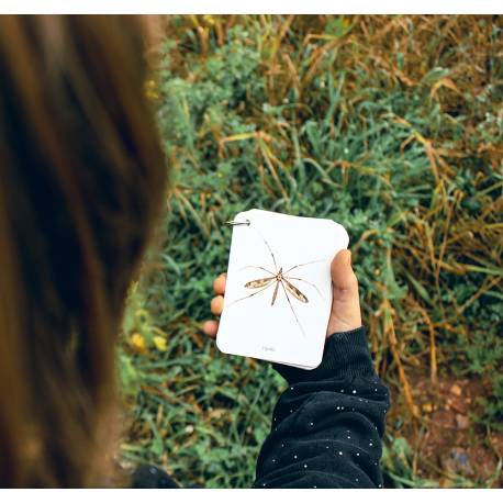 Llavero de tarjetas - Insectos
