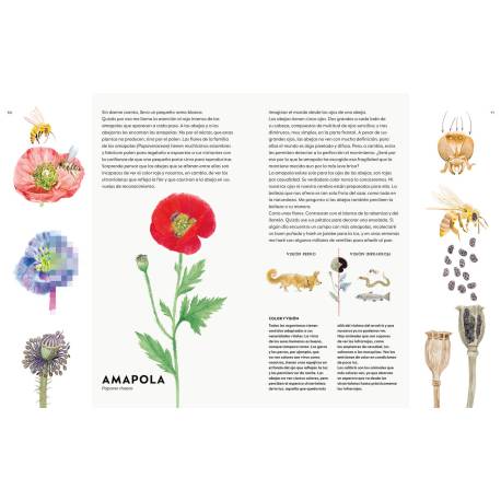 Un ramo de malas hierbas  Animales y Naturaleza