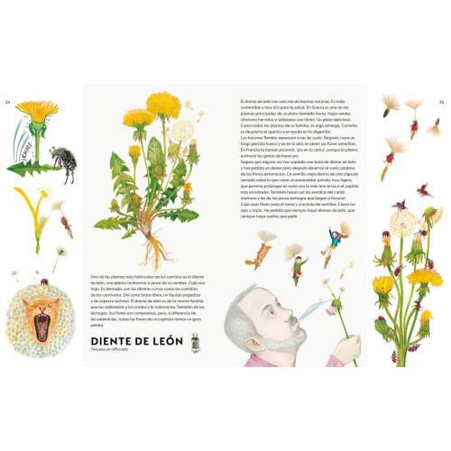 Un ramo de malas hierbas  Animales y Naturaleza