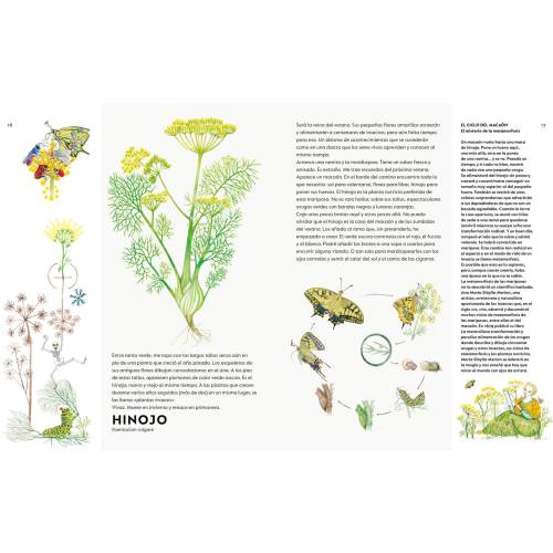 Un ramo de malas hierbas  Animales y Naturaleza